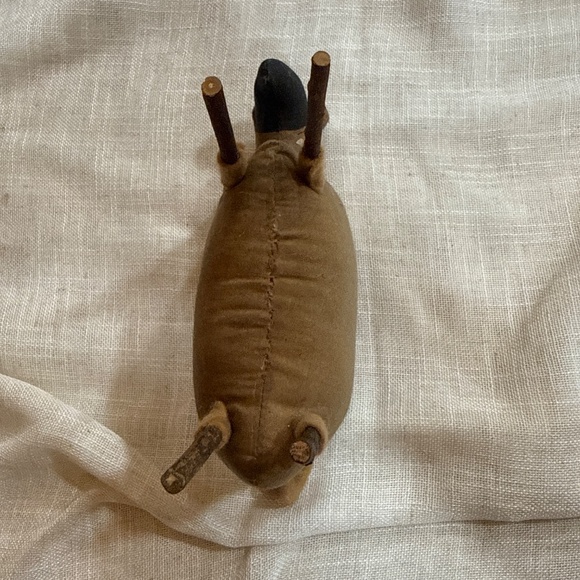 Primitive sheep - Picture 4 of 5